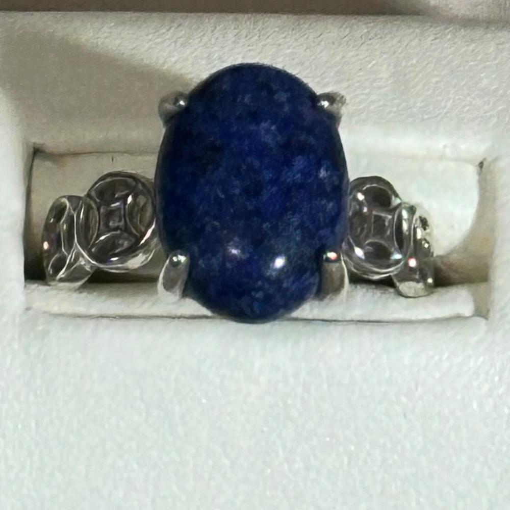 Stainless Steel ring w/Oval Blue Dumortierite stone - NWOT